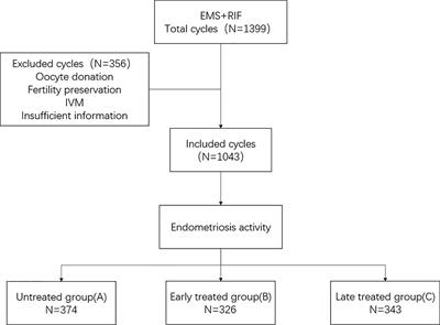 Analysis of IVF/ICSI Outcomes in Endometriosis Patients With Recurrent Implantation Failure: Influence on Cumulative Live Birth Rate